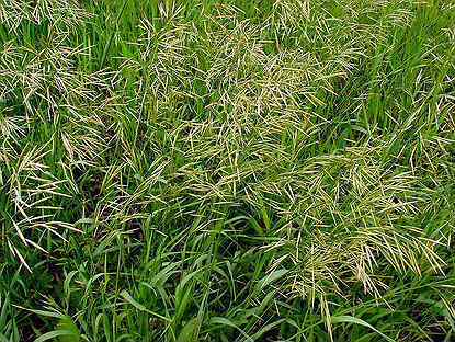 PgKufLa_kuvY2WDt3lQfNznflOEQH5YZHN-Q7RbZkOsamQ